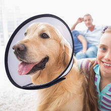 Load image into Gallery viewer, Elizabethan Collar
