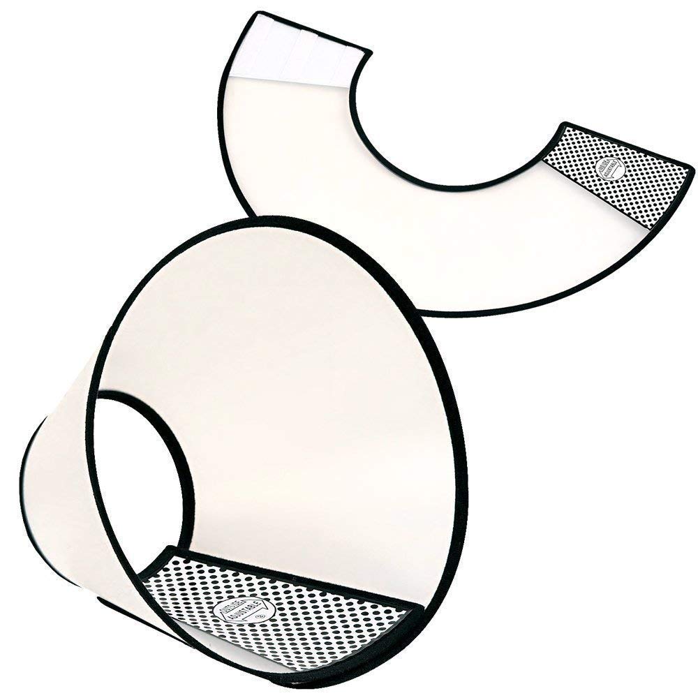Elizabethan Collar