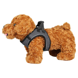 Emily Pet Harness