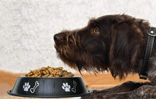 Load image into Gallery viewer, Paw and Bone Print Bowl
