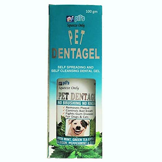 Pils Dentagel