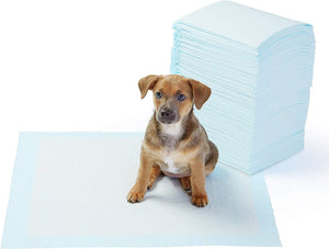 Potty Training Pads