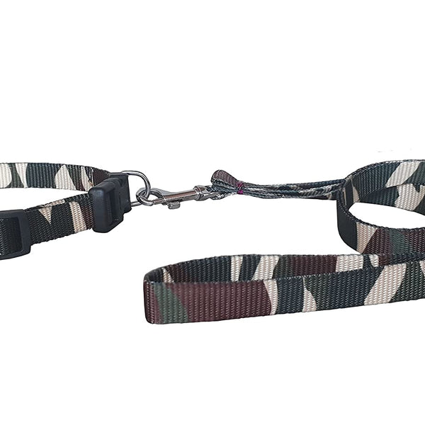 Puppy Leash & Collar Set at pet store