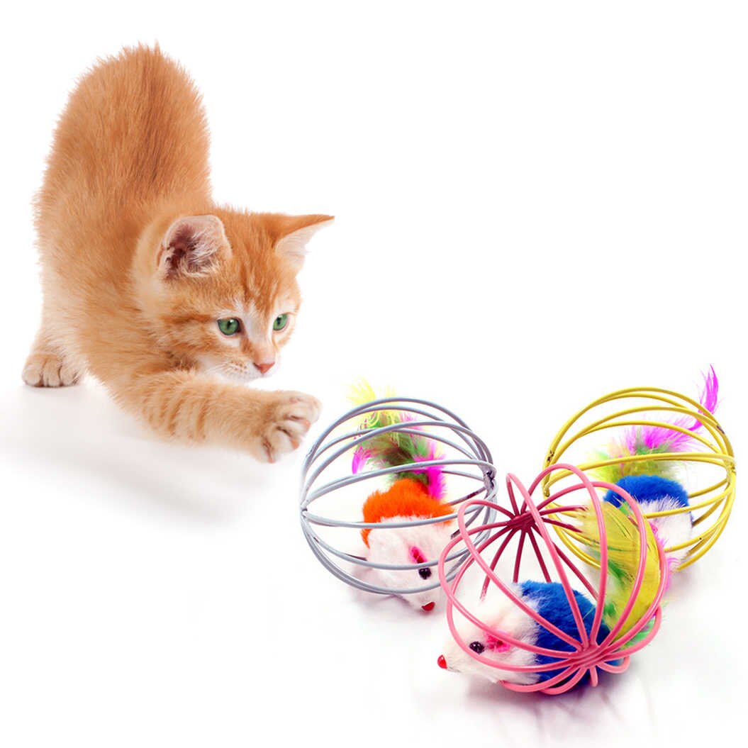 Scratch Toy - Rat