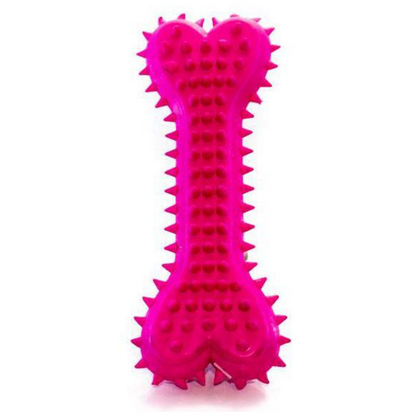 Spike Bone Chew Toy