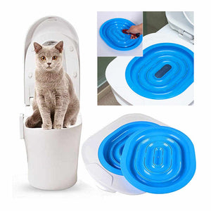 Toilet train your cat to use human toilet