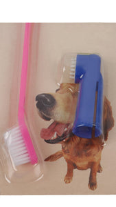 Tooth Brush