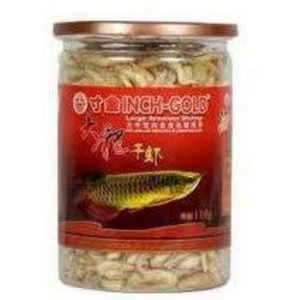 Inch-Gold - Shrimps for Large Arowana