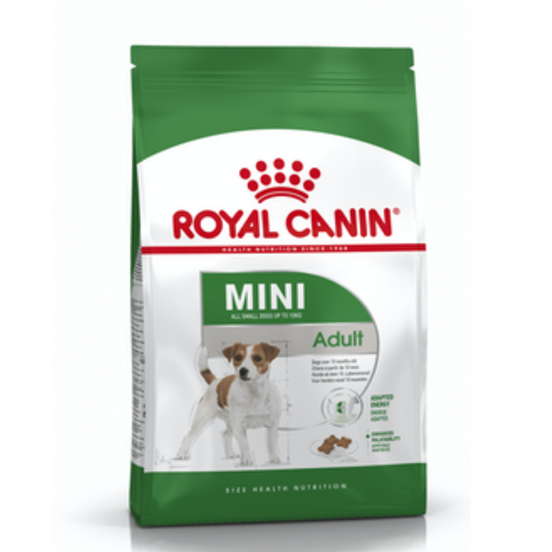 Dry Dog Food
