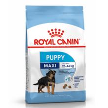 Load image into Gallery viewer, Royal Canin - Maxi - Junior/Puppy