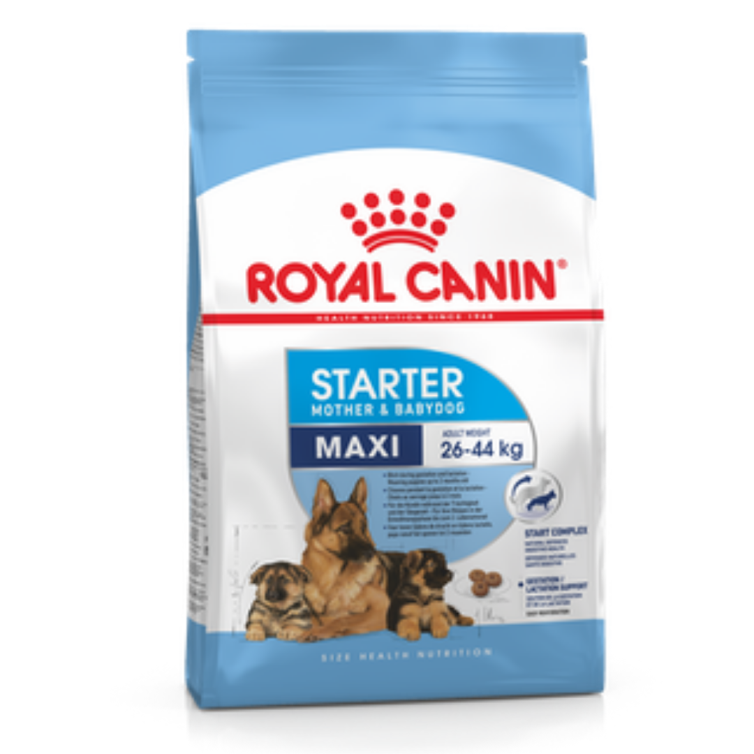 Royal Canin Maxi Starter petstreetonline