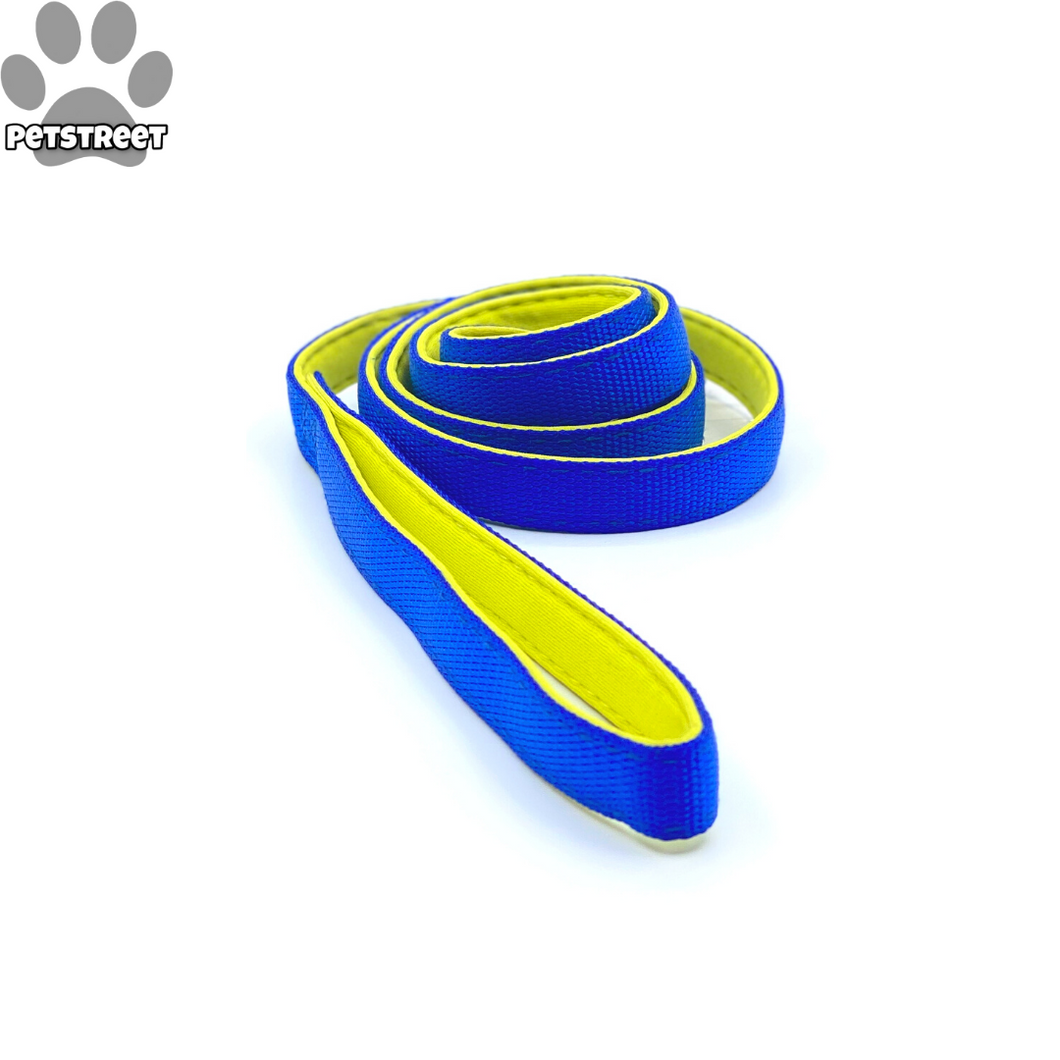 Basil Leash - Blue & Yellow (with padding)