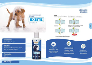 Vivaldis Exsite
