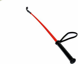 Walking Stick