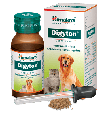 Himalaya Digyton Drops