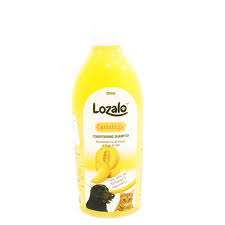Lozalo Cantaloupe Conditioning Shampoo