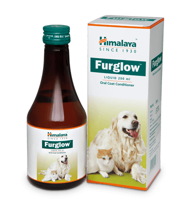 Himalaya Furglow