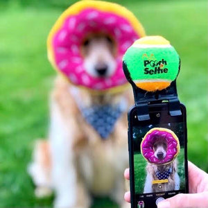 Pooch Selfie