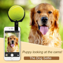 Load image into Gallery viewer, Pooch Selfie
