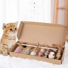 Petstreet RHG-HP Cat Toy Box 6in1