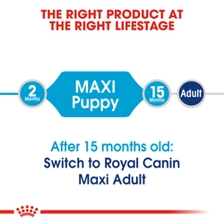 Royal Canin - Maxi - Junior/Puppy