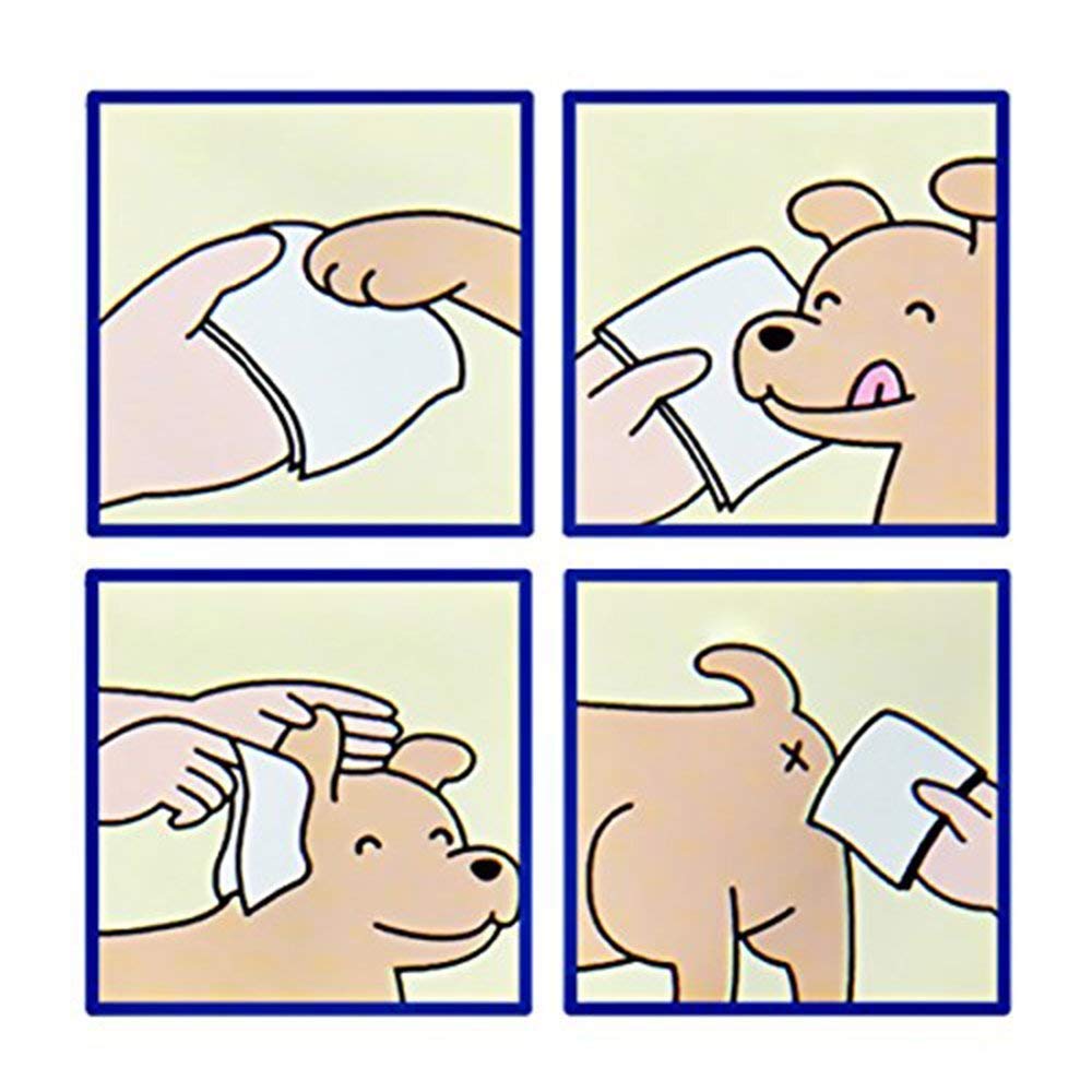 SmartyPet Pet Wipes 100PC